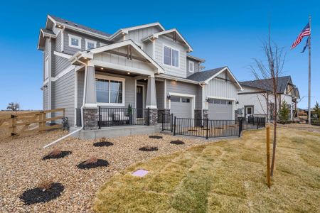 New construction Single-Family house 948 Rhapsody Dr, Windsor, CO 80550 plan Adeline 55 - image 19
