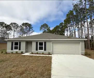 New construction Single-Family house 13 Post Ln, Palm Coast, FL 32164 plan Royal - image