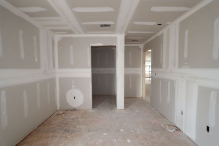 New construction Single-Family house 5707 Maydale Ave, Wesley Chapel, FL 33545 Sonoma II- photo 100 100