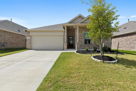 New construction Single-Family house 3325 Cardinal Flower Place, McKinney, TX 75071 Allegro- photo 0