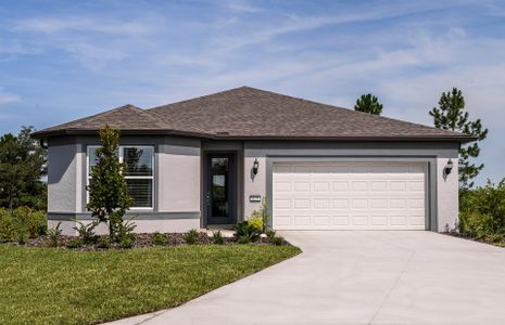 New construction Single-Family house Parrish, FL 34219 plan Crestmere - image