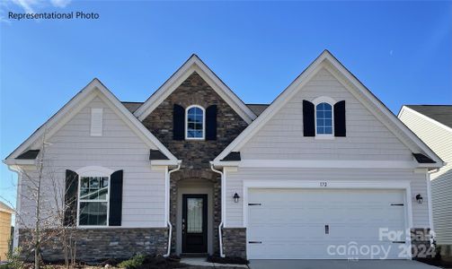 New construction Single-Family house 175 Pampas Place, Unit BF5 216, Statesville, NC 28625 - photo 0