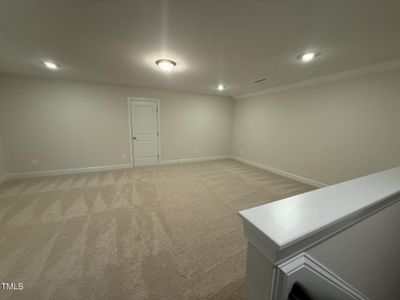 New construction Single-Family house 15 Long Needle Ct, Unit #38, Youngsville, NC 27596 Asheboro- photo 17 17