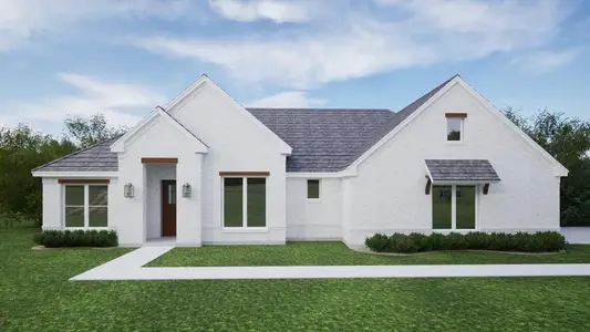 New construction Single-Family house 412 Hern Stephens Jr Wy, Springtown, TX 76082 - image