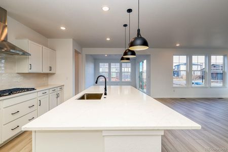 New construction Single-Family house 3818 N Duquesne St, Aurora, CO 80019 Brinnon II- photo 7 7