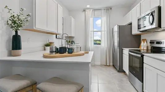 New construction Townhouse house 46 Montellano Rd, St. Augustine, FL 32084 plan Springfield - image