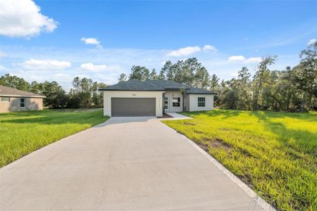 New construction Single-Family house 746 Marion Oaks Mnr, Ocala, FL 34473 - image