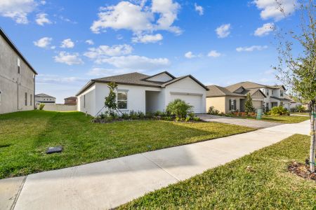 New construction Single-Family house 12193 Hilltop Farms Dr, Dade City, FL 33525 Sentinel- photo 134 134