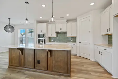 The River District - Pioneer Collection by David Weekley Homes in Charlotte - image 15