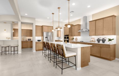 New construction Single-Family house 3855 N Sun City Blvd, Florence, AZ 85132 plan Endeavor - image 15