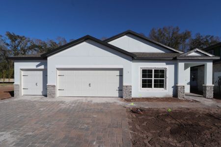 New construction Single-Family house 20339 Oriana Loop, Land O' Lakes, FL 34638 Newport II- photo 89 89