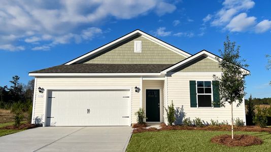 New construction Single-Family house 110 Cottage Red Ct, Conway, SC 29527 plan Kerry - image