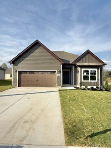 New construction Single-Family house 25 Ellie Jan Wy, Manchester, TN 37355 - image