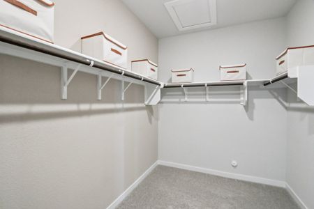 New construction Single-Family house 11312 Comano Dr, Austin, TX 78747 plan Bristol - image 20