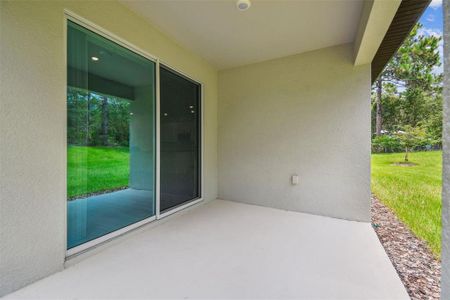 New construction Single-Family house 11347 Striped Bass Ct, New Port Richey, FL 34654 plan Pompei - image 4