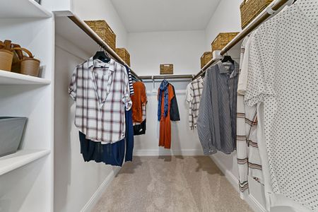 New construction Single-Family house 10618 Tall Timbers Trl, Frisco, TX 75035 plan Symmetry D373 - image 15