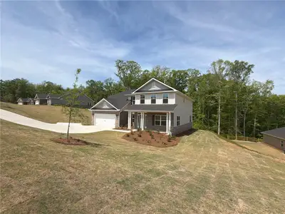 New construction Single-Family house 3330 Trevi Trl, Douglasville, GA 30135 plan Plan 3629 - image