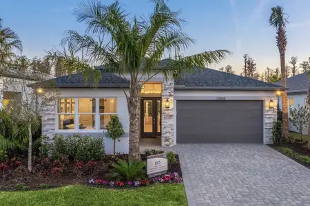 New construction Single-Family house 3318 Malta Ave, Wesley Chapel, FL 33543 plan Ibis - image