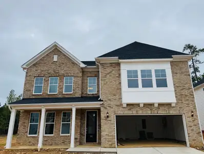 New construction Single-Family house 322 Rising Stream Wy, Chapin, SC 29036 plan Webster II - image