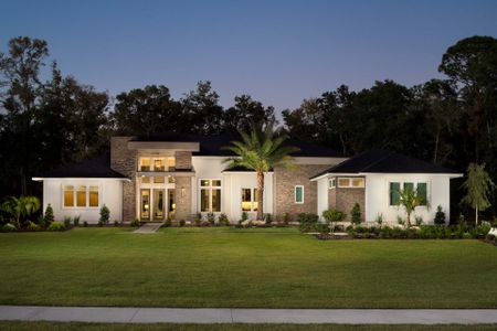 New construction Single-Family house 2469 Nw 150Th Blvd, Newberry, FL 32669 null- photo 1 1