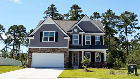New construction Single-Family house 613 Asiatic Ct, Conway, SC 29526 plan Forrester - image