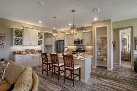 New construction Single-Family house 8447 Sw 99Th Street Rd, Ocala, FL 34481 plan Longleaf Ridge - Livingston - image 6