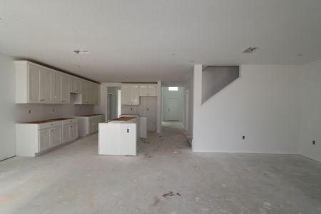 New construction Single-Family house 12176 Hilltop Farms Dr, Dade City, FL 33525 Malibu- photo 83 83