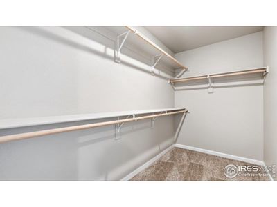 New construction Single-Family house 16815 Mckay Dr, Mead, CO 80542 plan Jansen - image 13