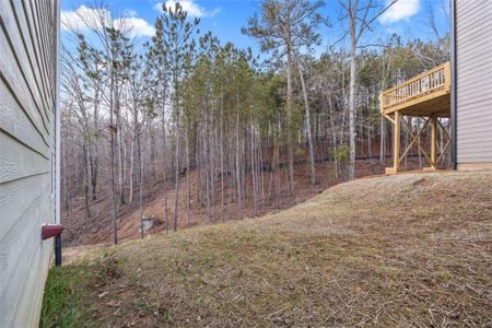 New construction Single-Family house 3185 Tackett Rd, Douglasville, GA 30135 null- photo 49 49