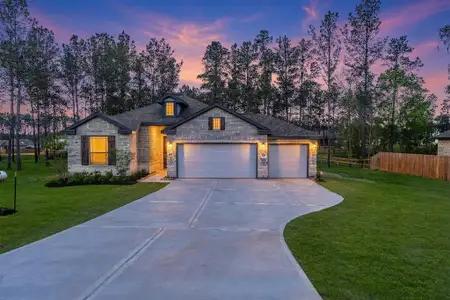New construction Single-Family house 13336 Wichita Fall Trail Rd, Conroe, TX 77303 plan Harrison - image