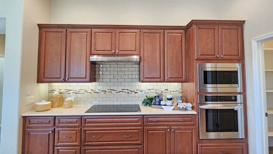 New construction Single-Family house 5407 W Windmill Ln, Eloy, AZ 85131 Mandara- photo 5 5