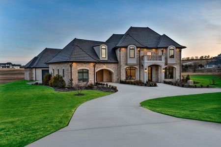 New construction Single-Family house 231 Nueces Trl, Aledo, TX 76008 - image