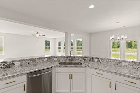 New construction Single-Family house 155 Chalk Farm Wy, Savannah, GA 31302 plan The Gwinnett - image 6