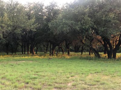 New construction Single-Family house 1906 Coleman Ranch Rd, Tolar, TX 76476 null- photo 5 5