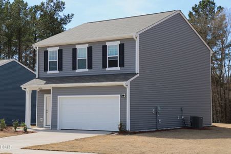 New construction Single-Family house 1430 Pond Overlook Dr, Nashville, NC 27856 - image