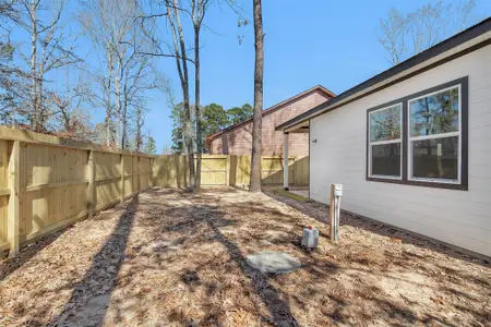 New construction Single-Family house 105 Canary St, Point Blank, TX 77364 - image