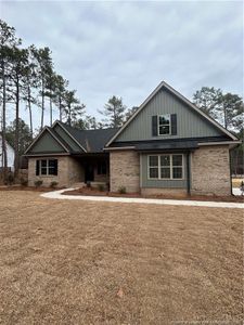 New construction Single-Family house 28940 Pinedale Ct, Wagram, NC 28396 - image