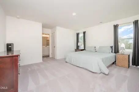 New construction Single-Family house 904 Rift Valley Dr, Zebulon, NC 27597 - image 12