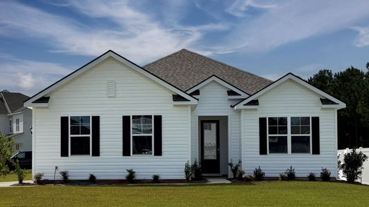 New construction Single-Family house 280 Hadley Springs Ave, Longs, SC 29568 plan Eaton - image