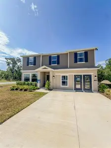 New construction Single-Family house 1363 Blue Ash Ln, Deland, FL 32720 - image