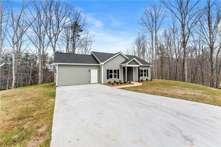 New construction Single-Family house 51 Hawks Ridge Ct, Cleveland, GA 30528 - image