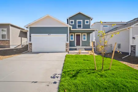 New construction Single-Family house 9673 Pinpoint, Fountain, CO 80817 plan Olive - image 3