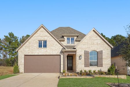 New construction Single-Family house 18143 Hemlock Hazel Ln, Magnolia, TX 77355 plan Newport Plan - image
