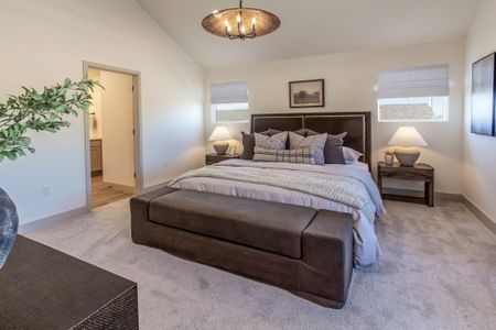 New construction Single-Family house 913 Trumpet Ln, Windsor, CO 80550 plan Twain - image 15
