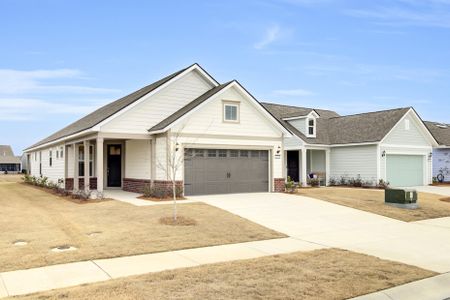 New construction Single-Family house 333 Dahlia Row Dr, Summerville, SC 29486 - photo 0