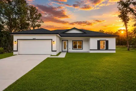 New construction Single-Family house 15479 Se 115 Place Rd, Ocklawaha, FL 32179 - image