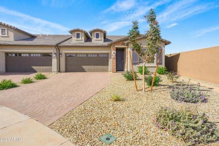 New construction Duplex house 17281 W Via Lindo Ct, Surprise, AZ 85387 plan Dawn - image