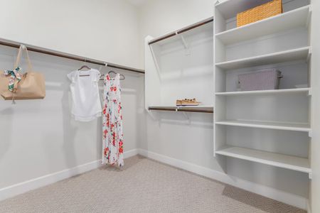 New construction Single-Family house 21011 E Diana Wy, Queen Creek, AZ 85142 plan Amarante - image 18