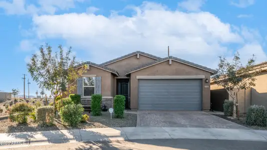 New construction Single-Family house 3918 S 90Th Ln, Tolleson, AZ 85353 - image