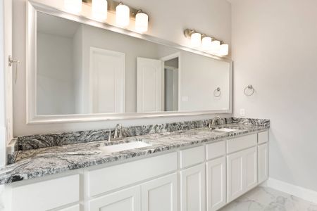 New construction Single-Family house 365 ELK Dr, Fate, TX 75189 plan Dawson - image 8